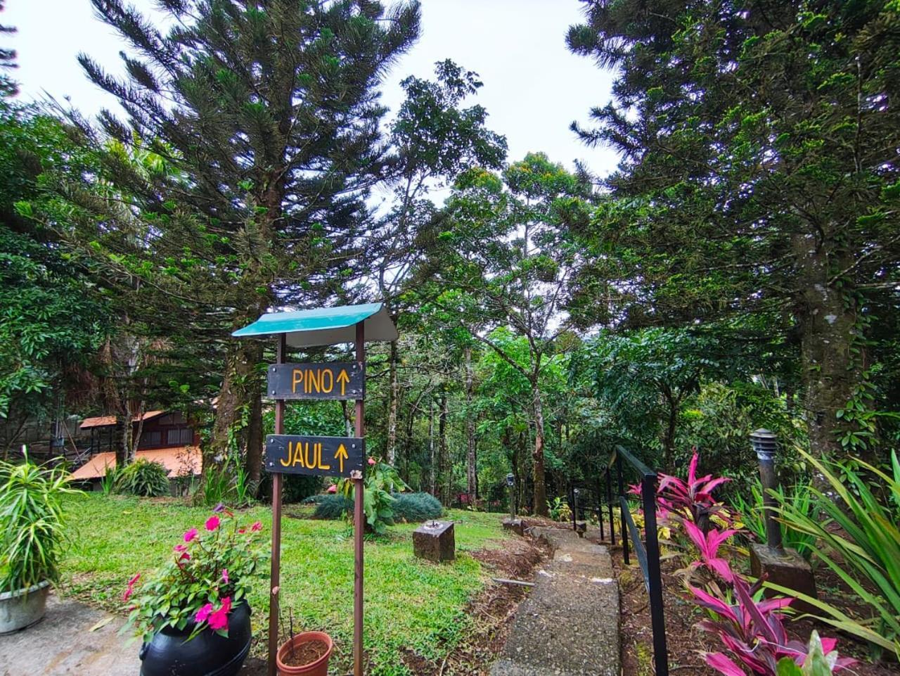 Avita Lodge Quesada  Buitenkant foto