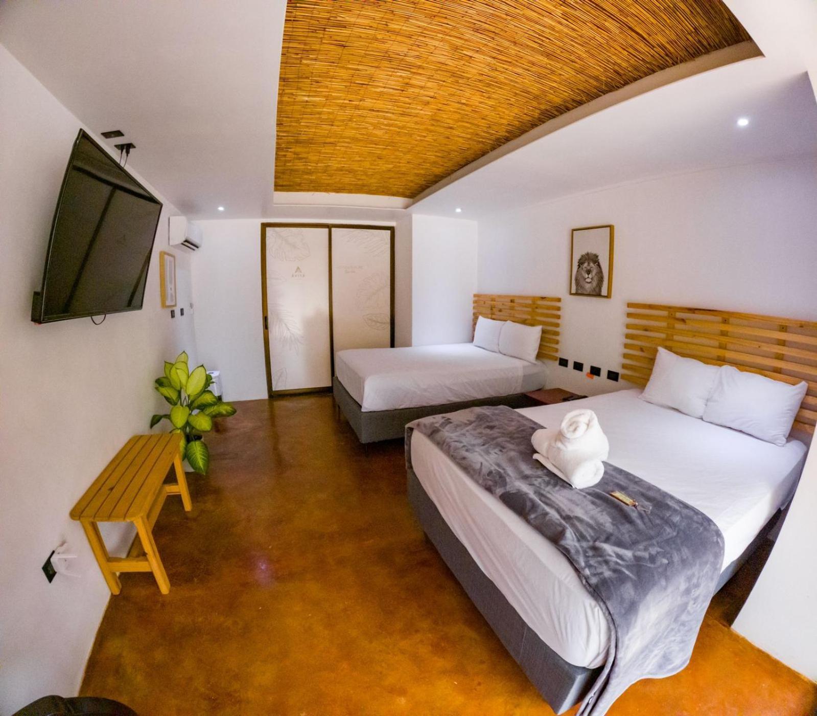 Avita Lodge Quesada  Buitenkant foto
